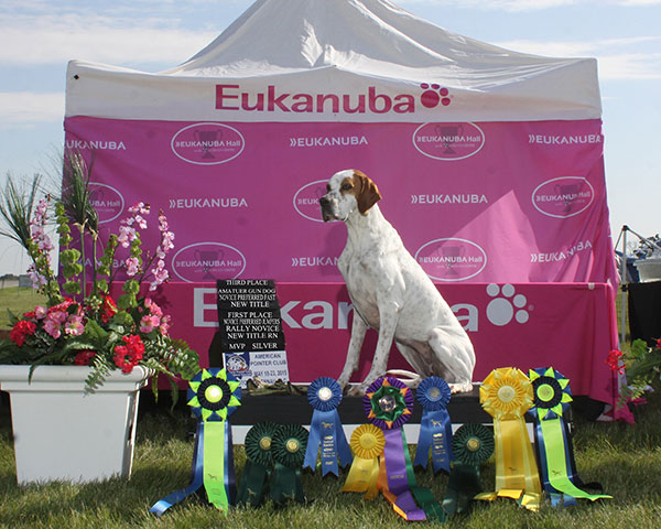 GCH. Marjetta Skys The Limit