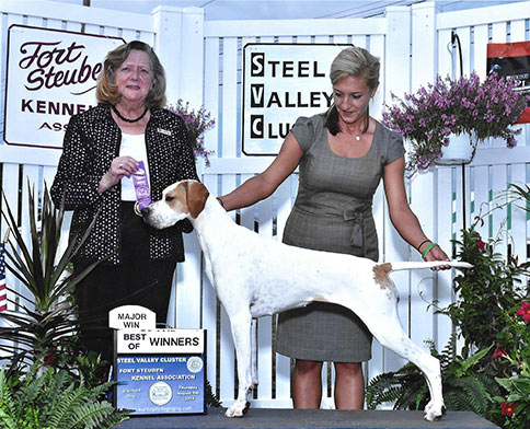 Marjetta Sweet Annie going BOW for a 5 point major under judge Sari Tietjen at the Fort Steuben KC show.  Handled by Katie Shepard