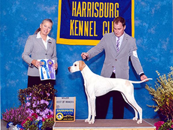 BOW Harrisburg 2015