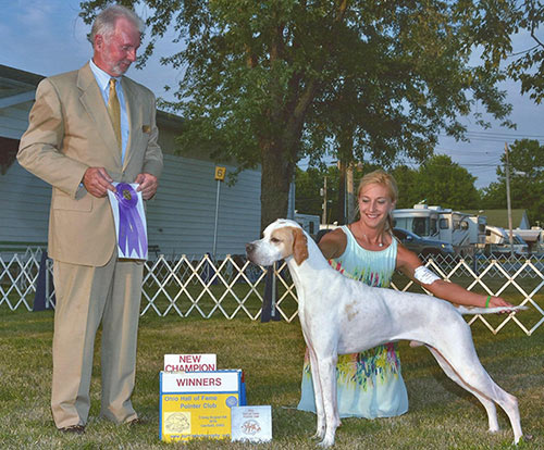 Marjetta N Bellburn Special Agent shown finishing his championship at the Ohio Hall of Fame Pointer Specialty in Canfield, OH.  Gibbs is proudly owned by Bettie Campbell and is being shown here by Katie Shepard.  Thank you breeder judge, Danny Seymour.