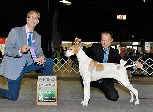 Hannah is owned by Jeanne Deeming and shown here by Adam Bernardin
