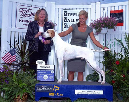 Marjetta N Bellburn Special Agent shown winning a 5 point major at the Fort Stueben KC show in Canfield, OH.  Gibbs is owned by Katie Shepard and shown here by Katie Shepard.  Thank you to Judge Sari Tietjen.
