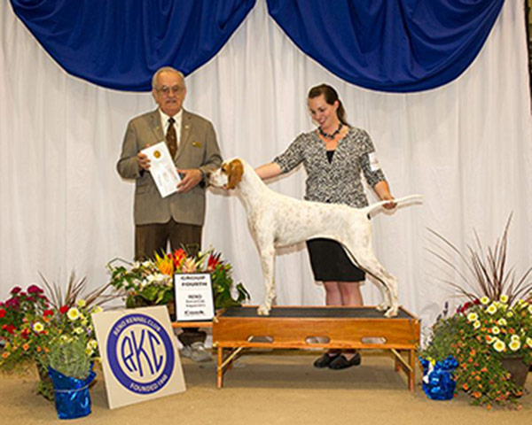 GCH MARJETTA THE SKY'S THE LIMIT AT POINTGOLD RN NJP NFP