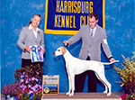 BOW Harrisburg 2015