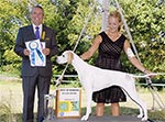 Marjetta Cover Girl shown going Best of Winners 