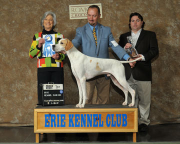 GCH Marjetta In The Limelight JH