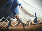 GCH. Marjetta In the Limelight