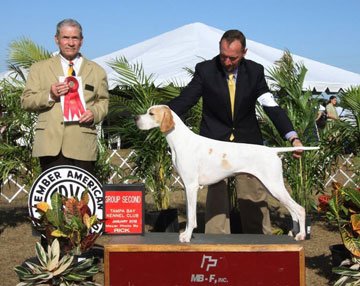 GCH. Marjetta In the Limelight