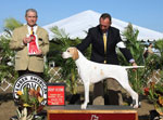 GCH. Marjetta In the Limelight