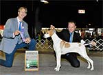 Hannah is owned by Jeanne Deeming and shown here by Adam Bernardin