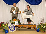 GCH. Marjetta Skys The Limit
